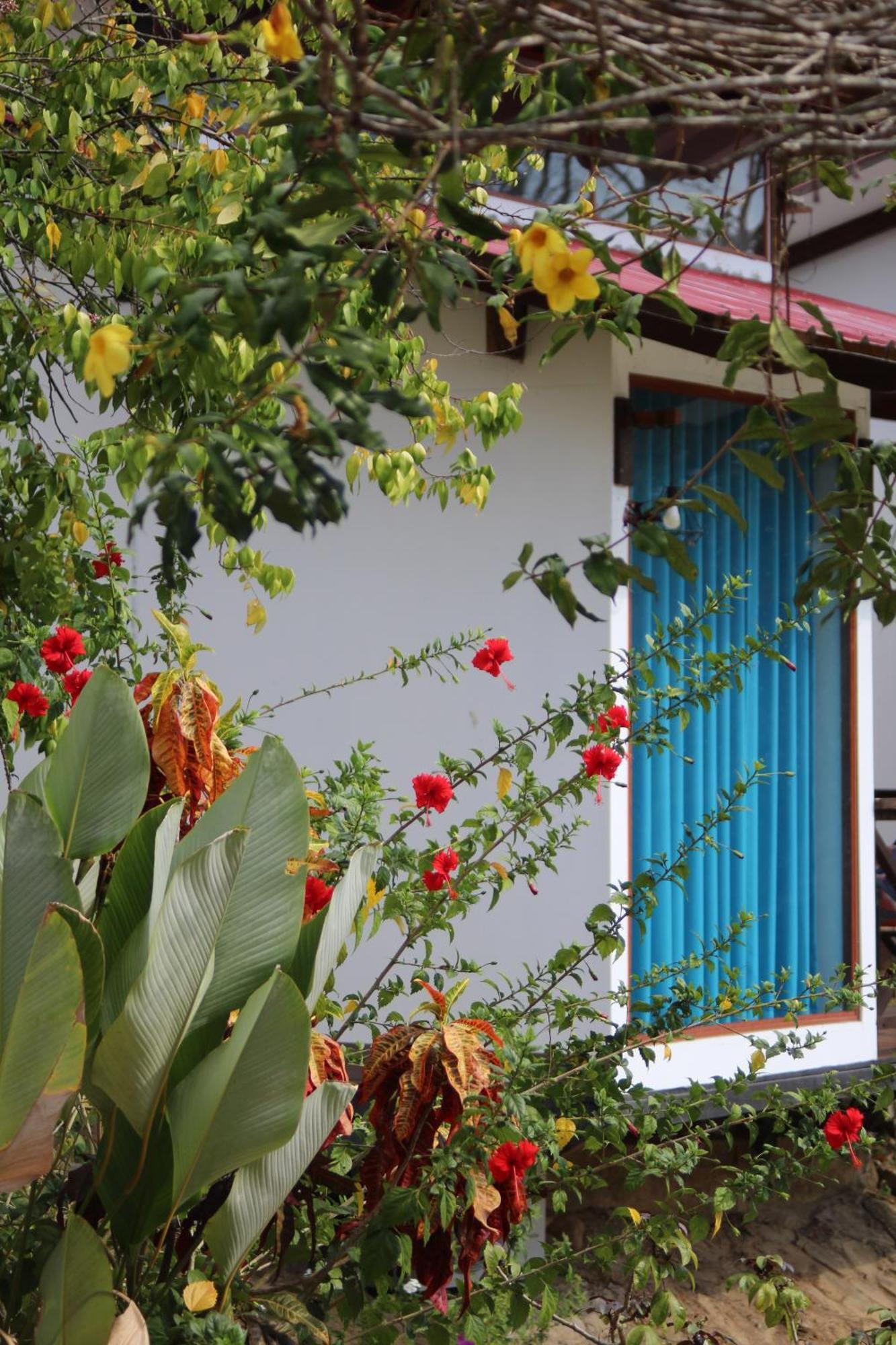 Hacienda Don Vicente Bungalows-Tarapoto Exterior foto